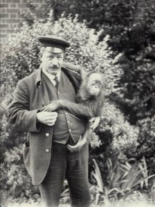 Gardien Z. Rodwell tenant un jeune orang-outan au zoo de Londres, octobre 1913 - Frederick William Bond